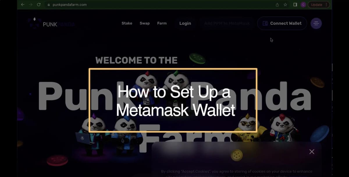 How to Set Up a MetaMask Wallet